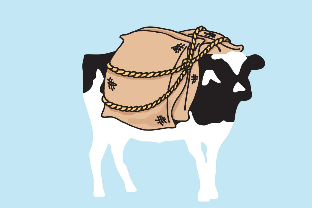 Woodie com sacos às costas